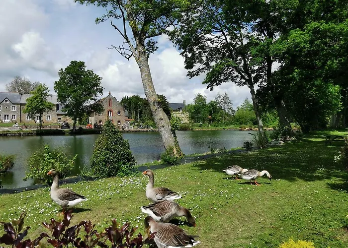 Claquerel Дом отдыха *